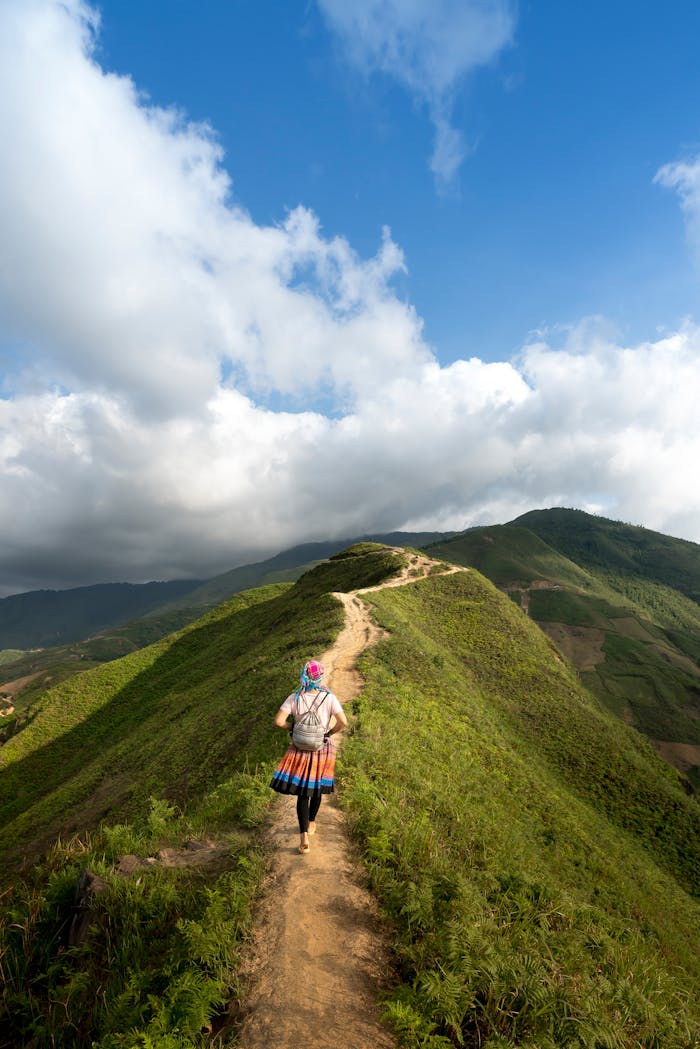 menu-14 A lone hiker walking on a scenic mountain trail surrounded by lush greenery and clear blue skies.