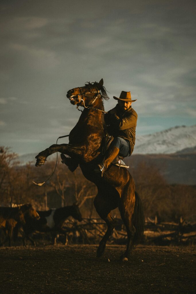 pexels-photo-31494446-31494446 Cowboy on a rearing horse with scenic mountain sunset, capturing rugged outdoor spirit.