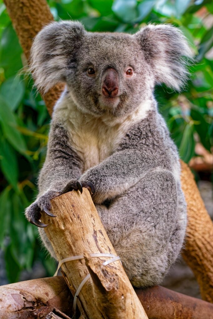 pexels-photo-34268961-34268961 pexels-photo-34268961-34268961.jpg